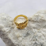Double Feather Ring In Gold - Infinity Raine