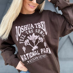 Joshua Tree Sweatshirt In Brown - Infinity Raine