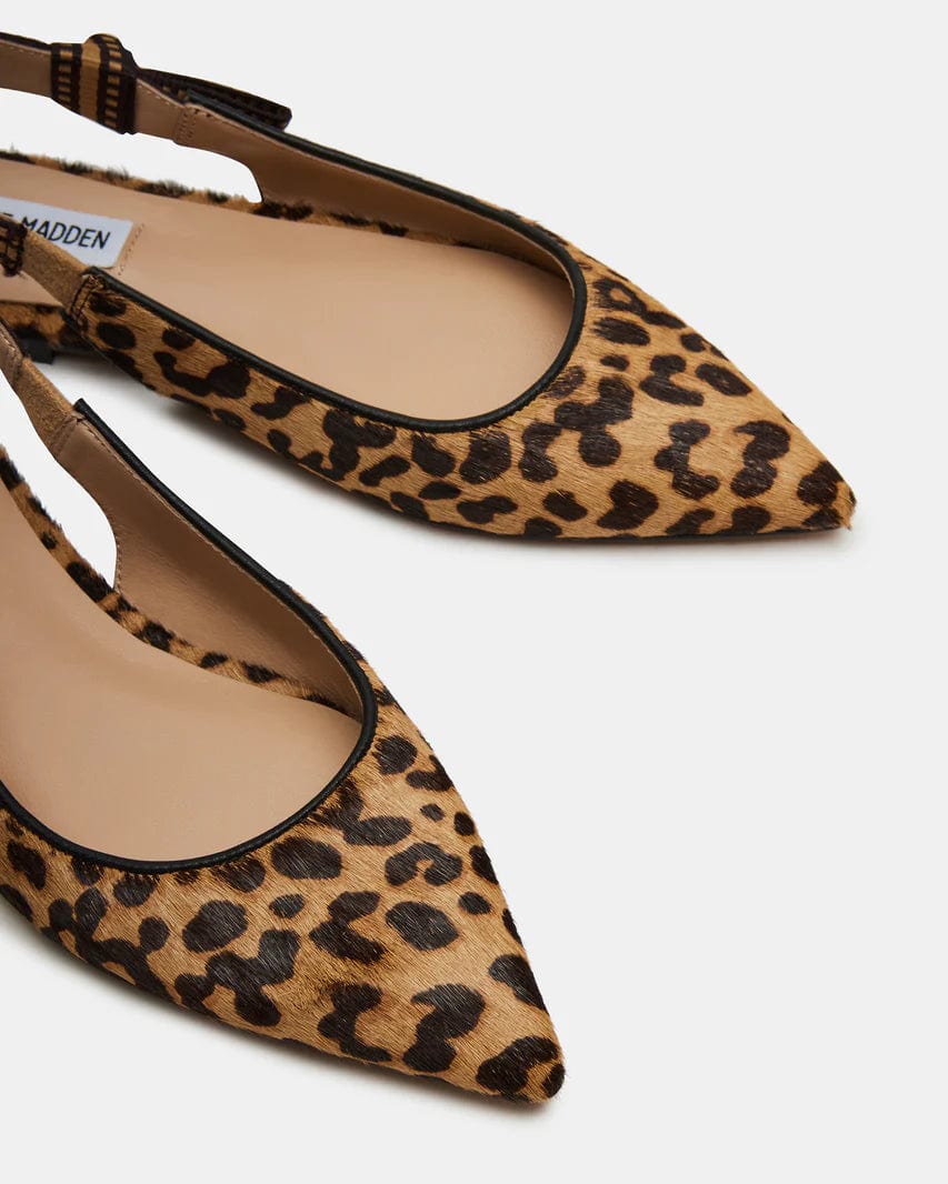 Steve Madden Olsen Ballet Flats In Leopard - Infinity Raine