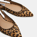 Steve Madden Olsen Ballet Flats In Leopard - Infinity Raine