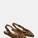 Steve Madden Olsen Ballet Flats In Leopard - Infinity Raine